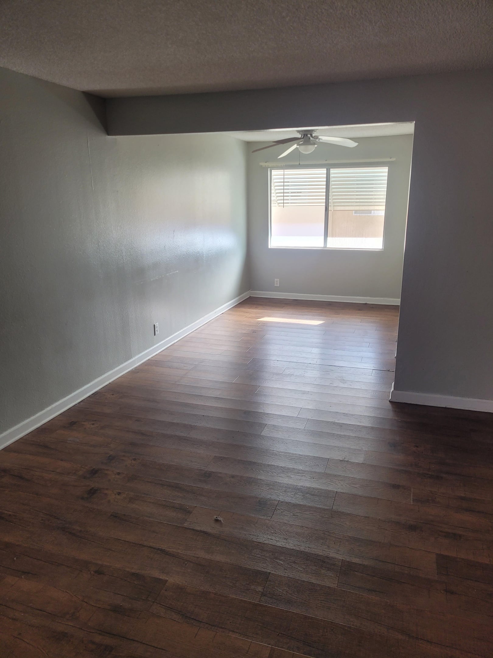 Apartment cleanout